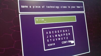 The questionnaire, humorously having "Vita" inputted as the player's favorite technology.