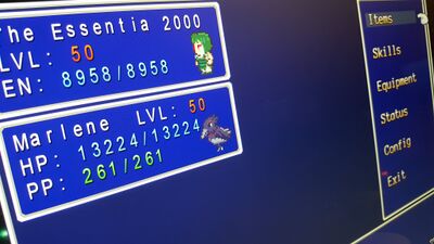 Krow and Essentia in the status screen, presumably in the Tutorial Dungeon.